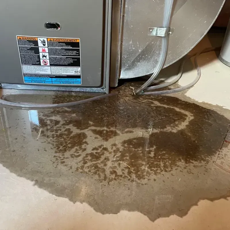 Appliance Leak Cleanup in Buffalo, IA